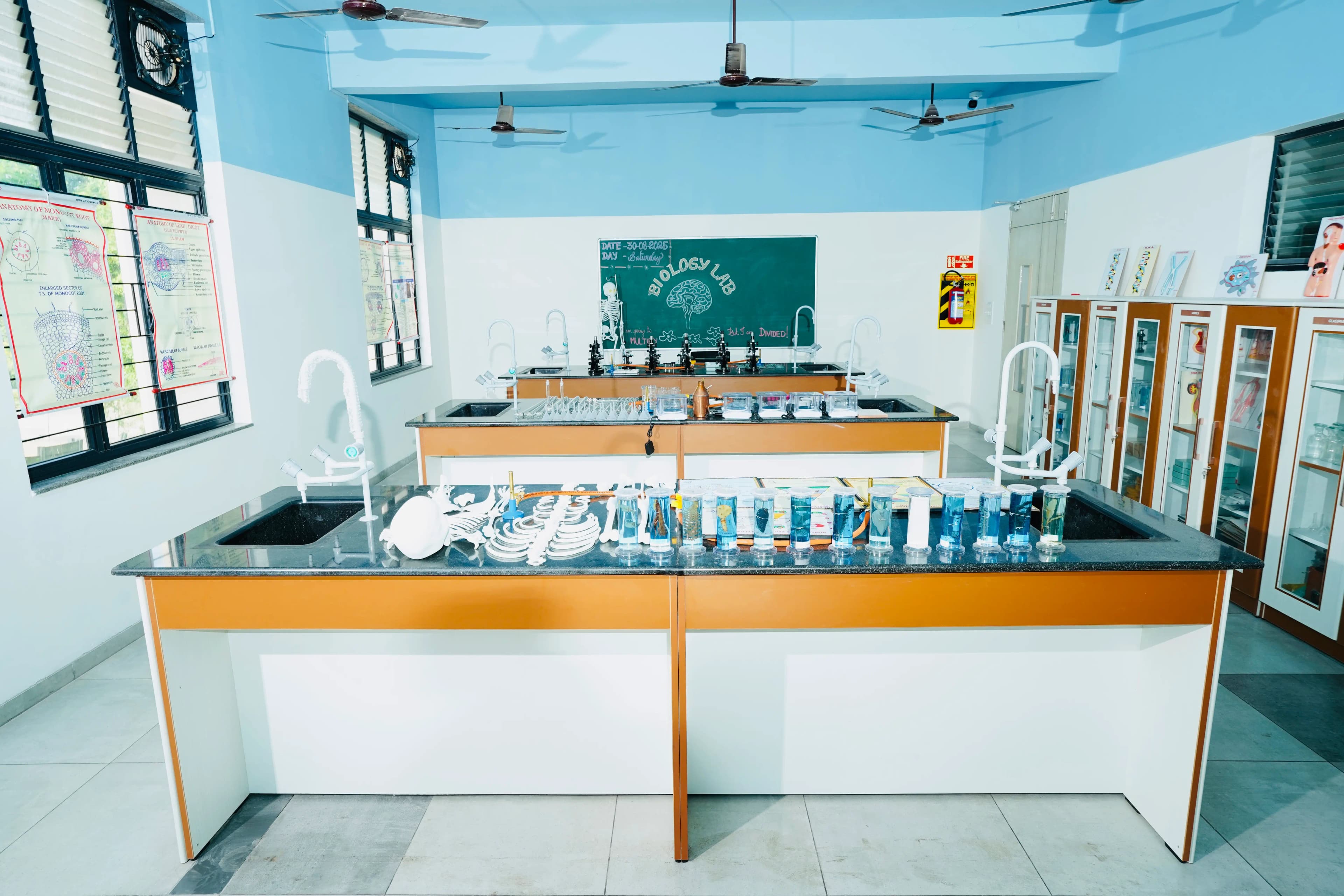 Labs - gallery photo